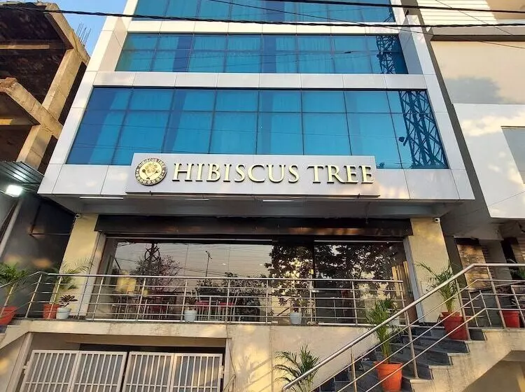 Retkeilymaja Hibiscus Tree  Bachupally