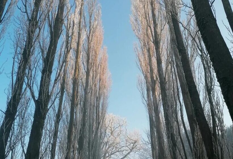 Captivating 1 Bed Cottage In Ross On Wye