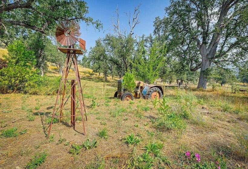Countryside Views: Family Friendly Badger Cabin