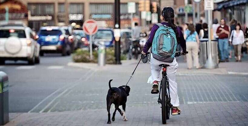 Cozysuites Boutique 1br Downtown Indy