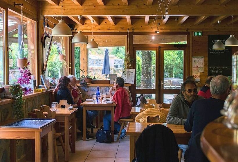 فندق Hostel Quartier Libre