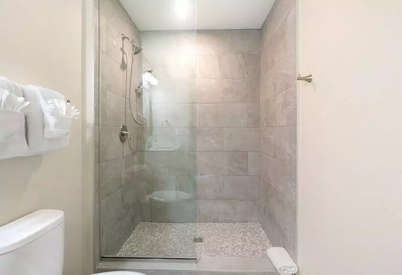 Lively 4br Condo Steps To French Quarter Unit 518