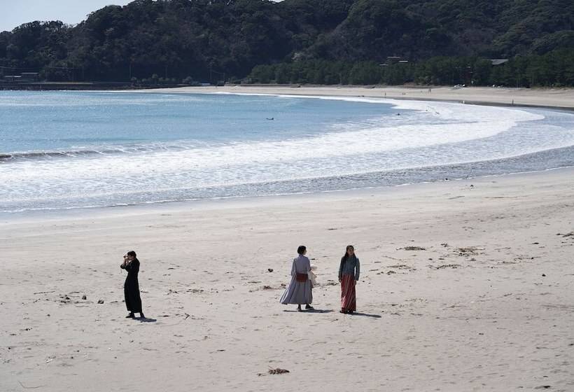 פנסיון Local Local