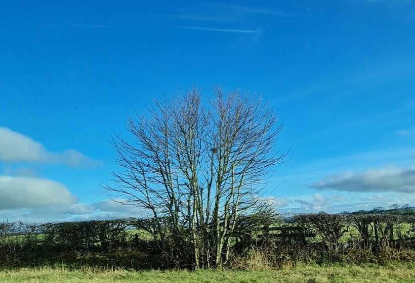 Резиденция Immaculate 3 Bed House In Durham Near Sedgefield