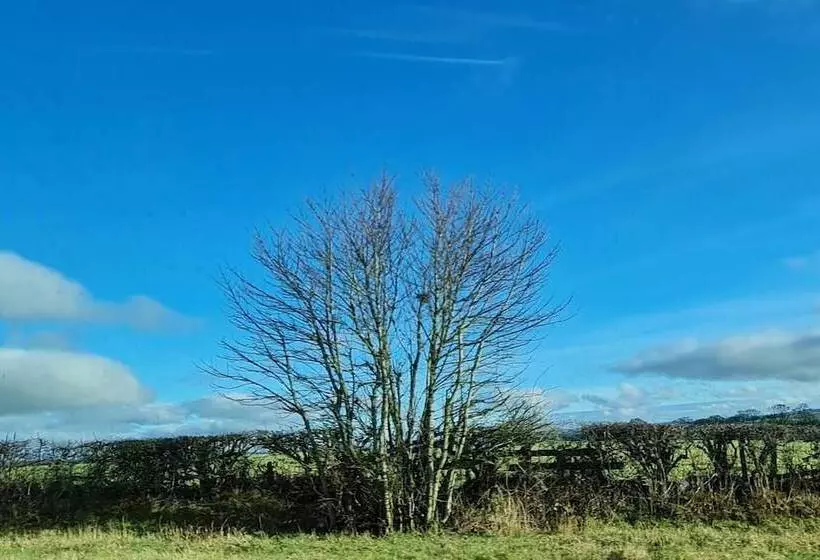 Residenssi Immaculate 3 Bed House In Durham Near Sedgefield