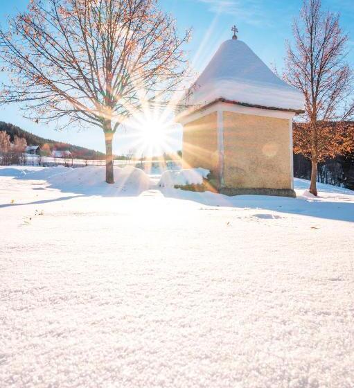 Hotel Alpengasthof Moser