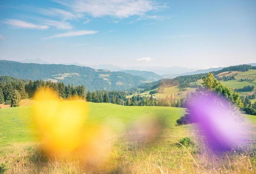 Hotel Alpengasthof Moser