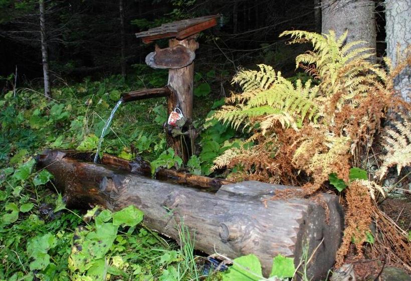 Hotel Alpengasthof Moser