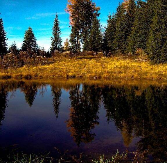 Hotel Alpengasthof Moser