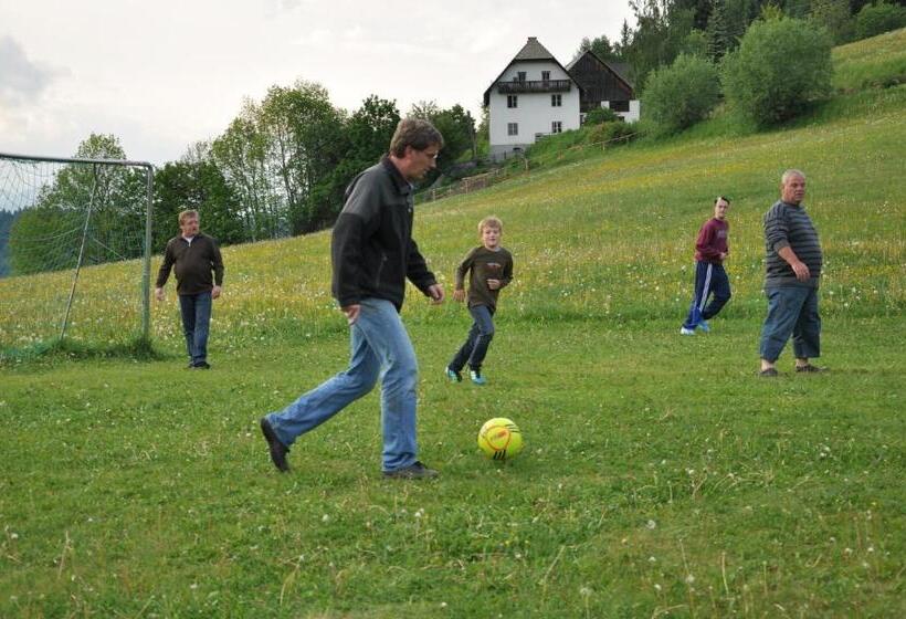 Hotel Alpengasthof Moser