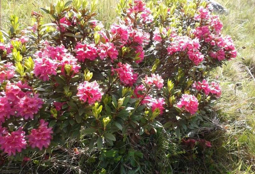 호텔 Apart Am Brunnen