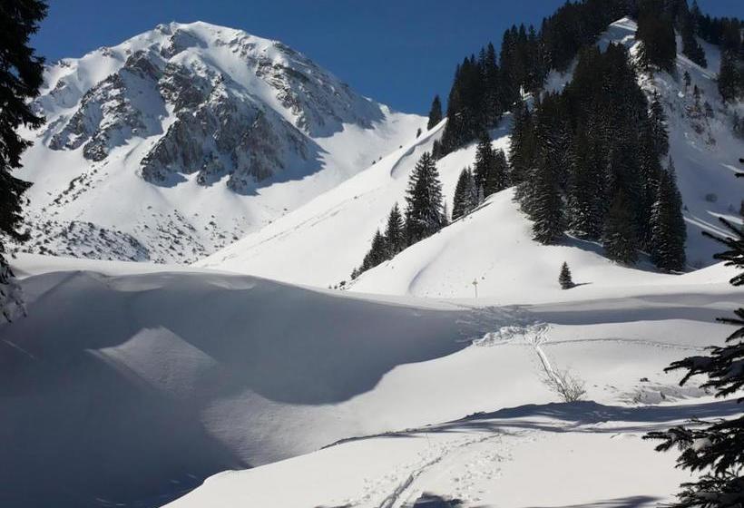 Отель Haus Baumgartner