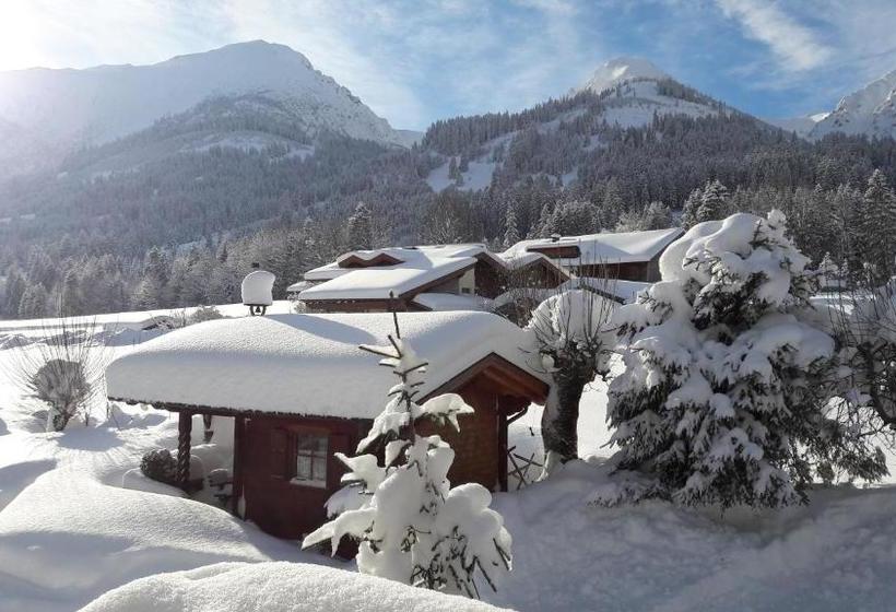 Отель Haus Baumgartner