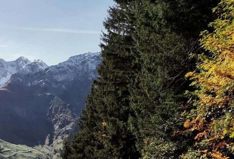 ホテル Haus Berghof