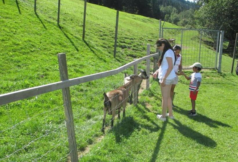 ホテル Haus Birgit