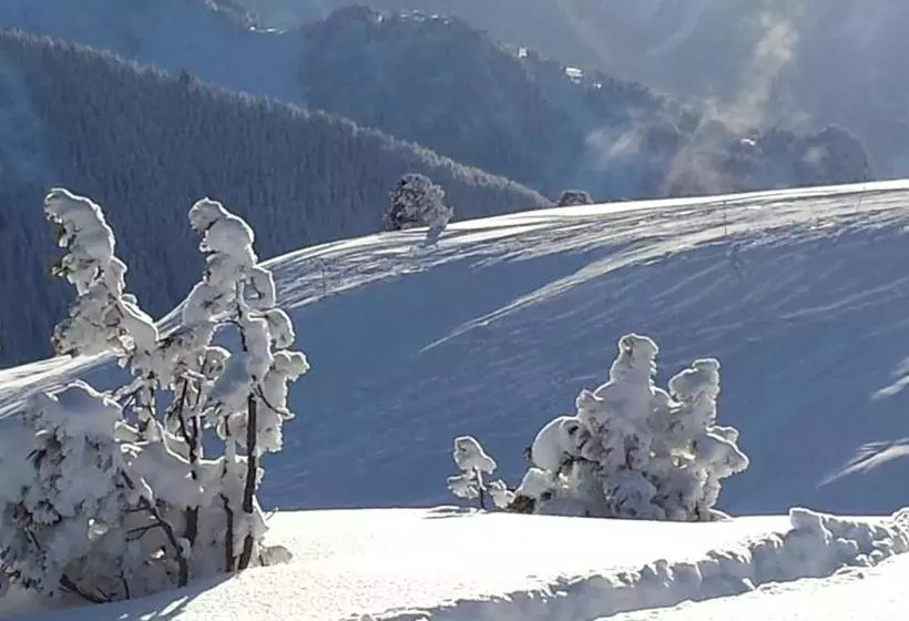 ホテル Landhaus Tirol