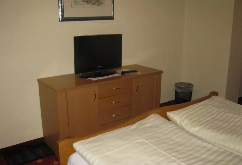 Otel Moser