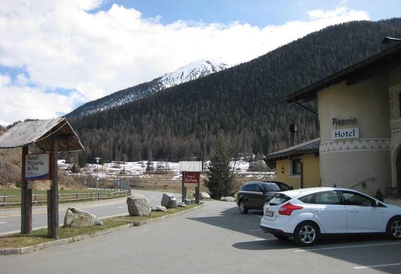 酒店 Pizzeria Selva