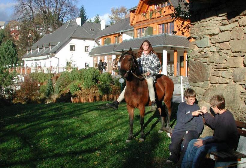 ホテル Zum Steinhauser