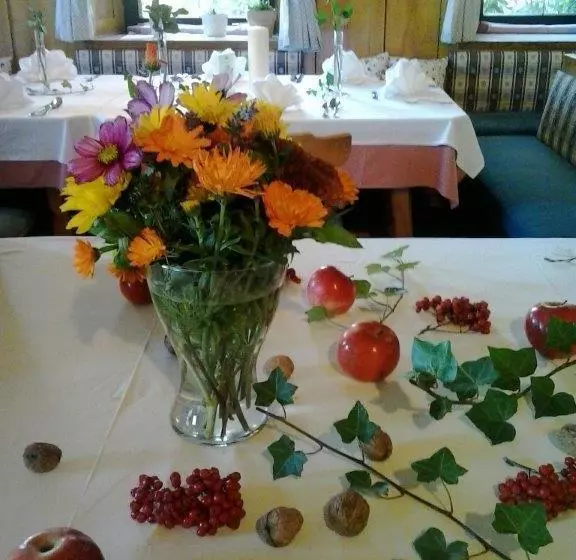 Hotelli Zum Steinhauser