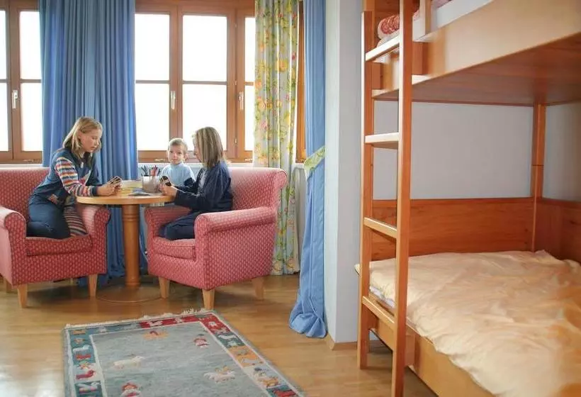 Hotelli Zum Steinhauser