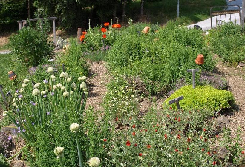 ホテル Zum Steinhauser