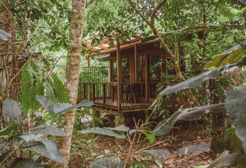 田舎風ホテル Ritmo Del Rio