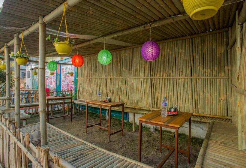 هتل White & Peace