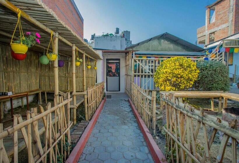 هتل White & Peace