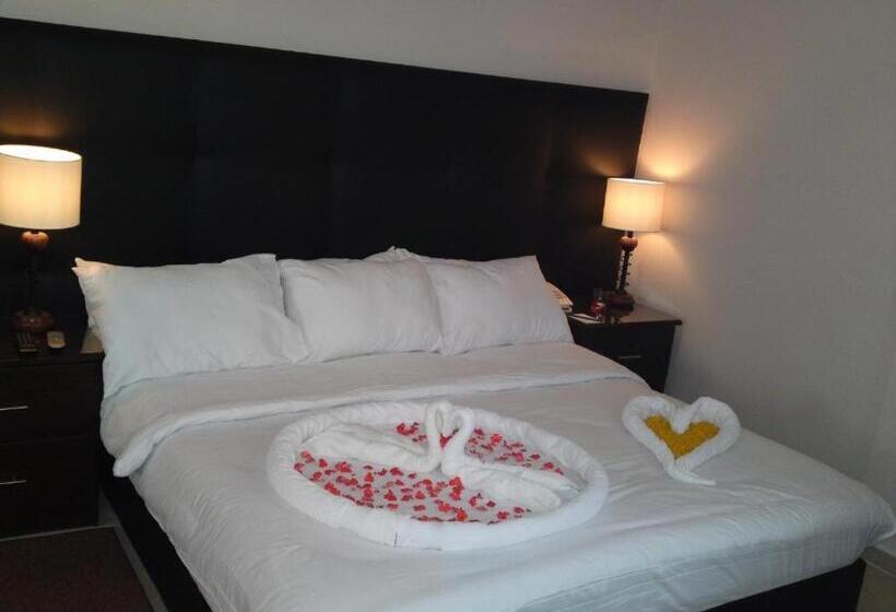 پانسیون Asser House