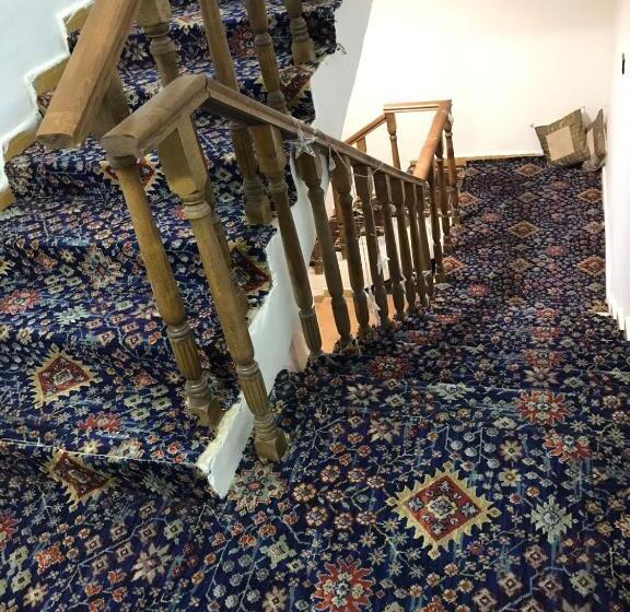 پانسیون Asser House