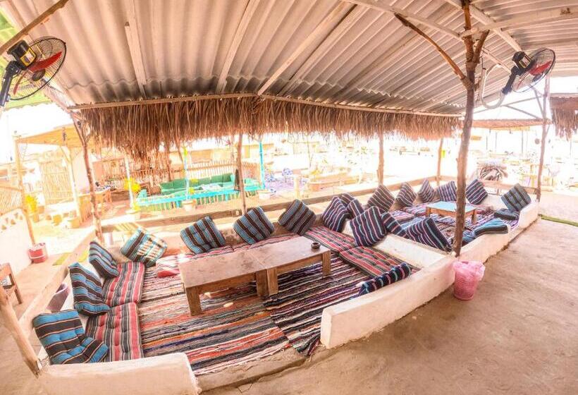 تختخواب و صبحانه فللبررر