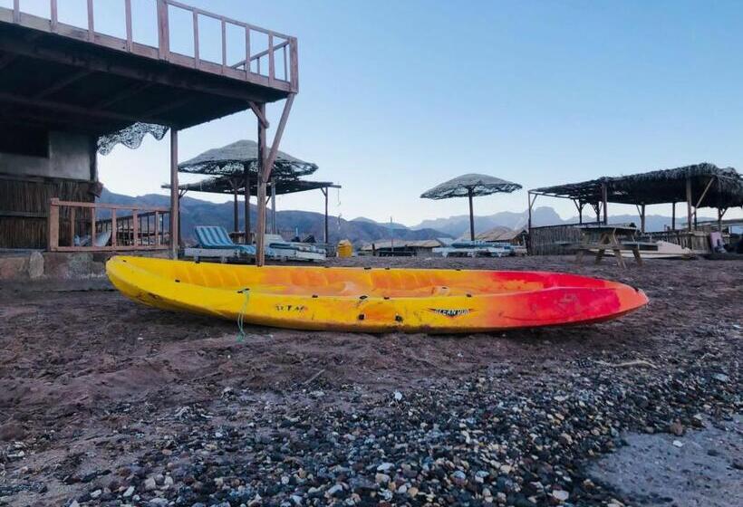 تختخواب و صبحانه فللبررر