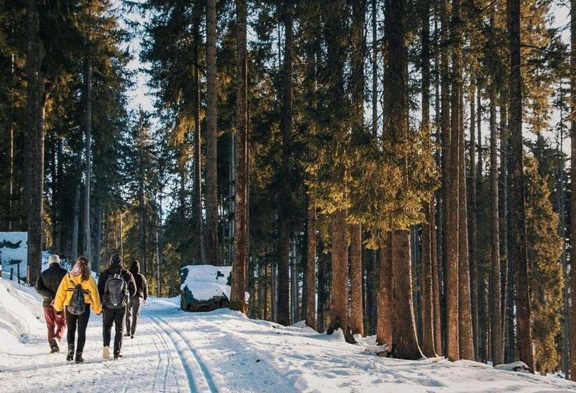 ホテル Belmonte Tirol   Boutique