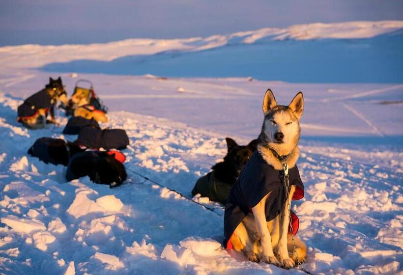 호텔 Gausta View Lodge