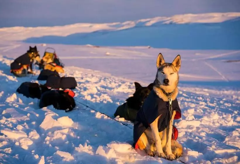 ホテル Gausta View Lodge