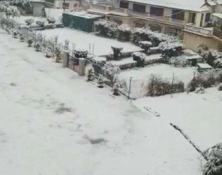 Hotel Grg Tribhuwan Ranikhet