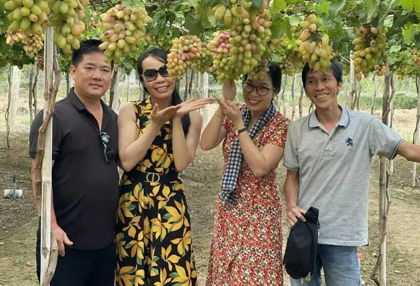 هتل Khách Sạn Hoàng Hải Ninh Thuận