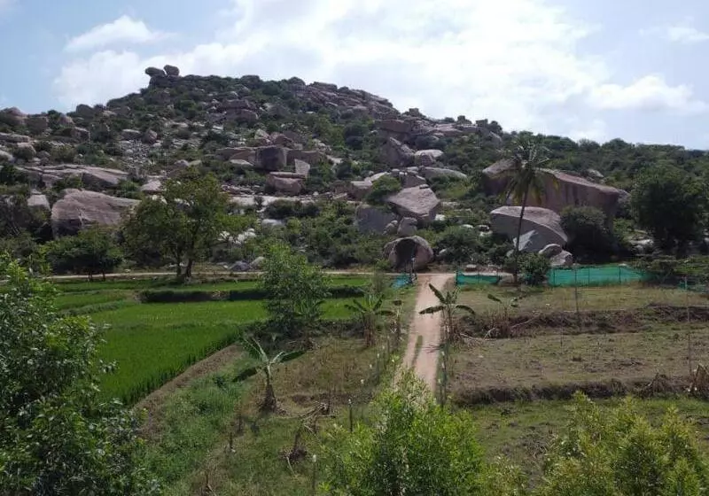 ペンション Hampi Wildstone
