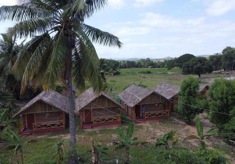 Pensão Hampi Wildstone