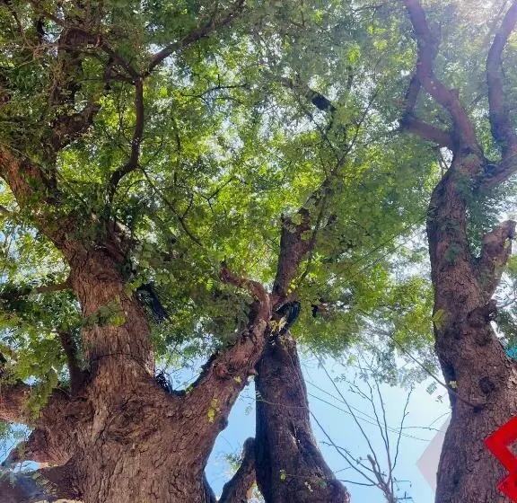 Majatalo Raja Residency