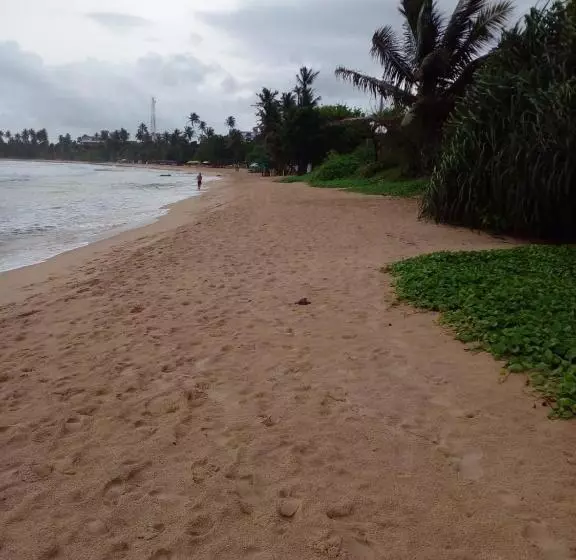 Majatalo Rosy Guest House