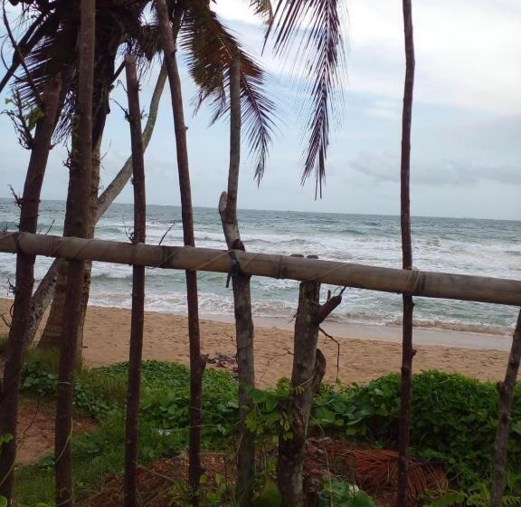 بنسيون Rosy Guest House