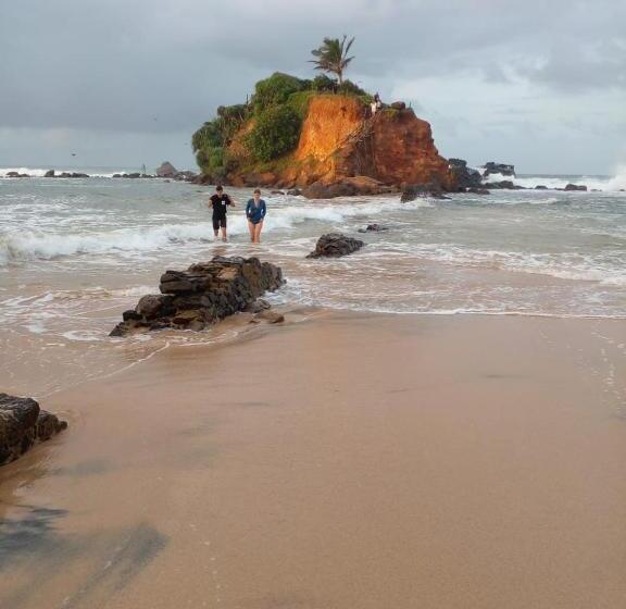 بنسيون Rosy Guest House