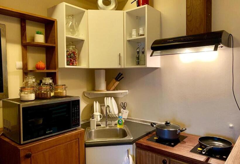 Penthouse Condo Studio Unit Centrio Tower W/ Stove