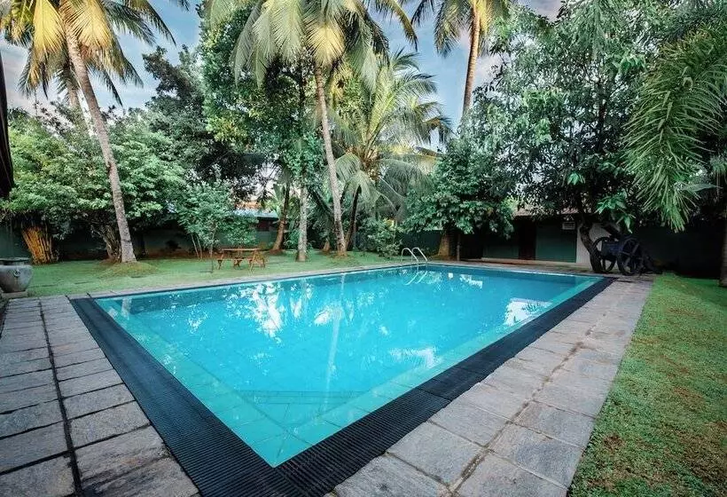 Aamiaismajoitus (B&B) Beru Villa