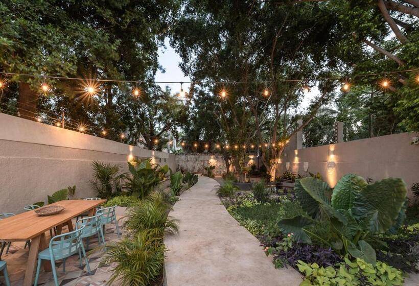 Hotel Casona Origen Merida