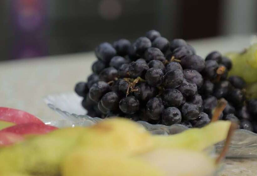 فندق Grand Turon