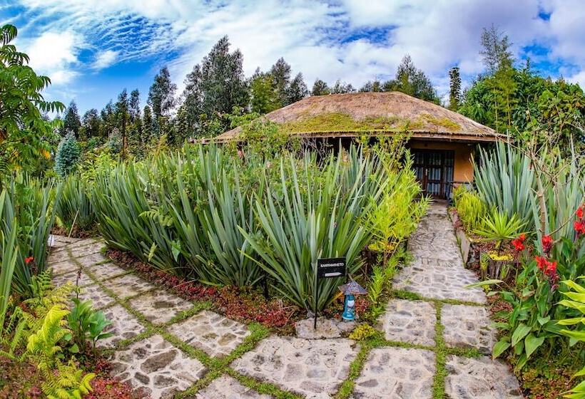 هتل Sambora Kinigi