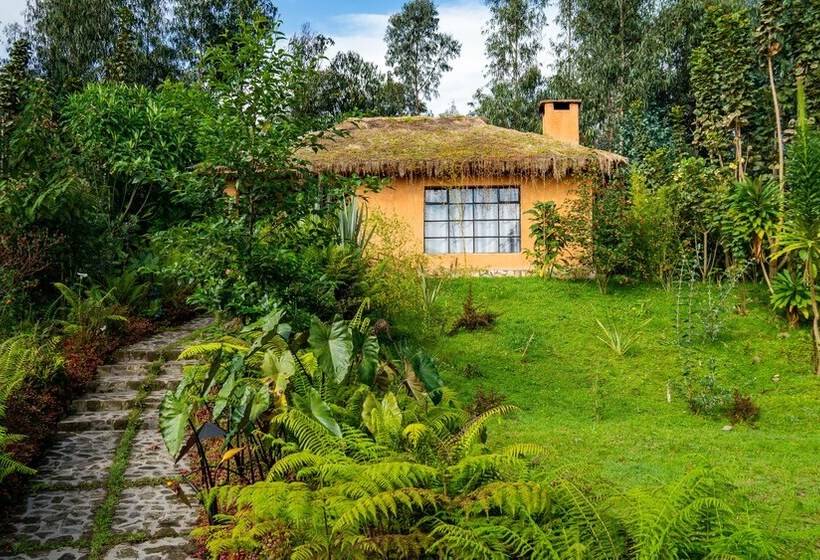 هتل Sambora Kinigi